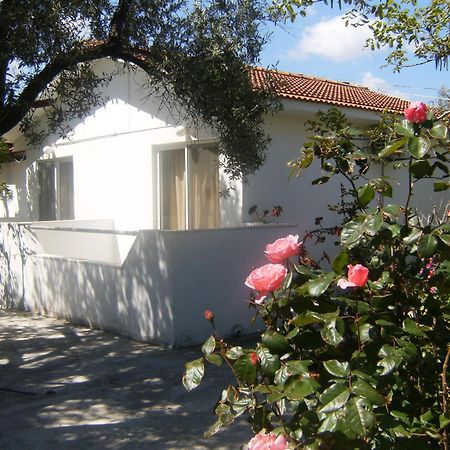 Pension Zoi Kolymbia Exterior foto