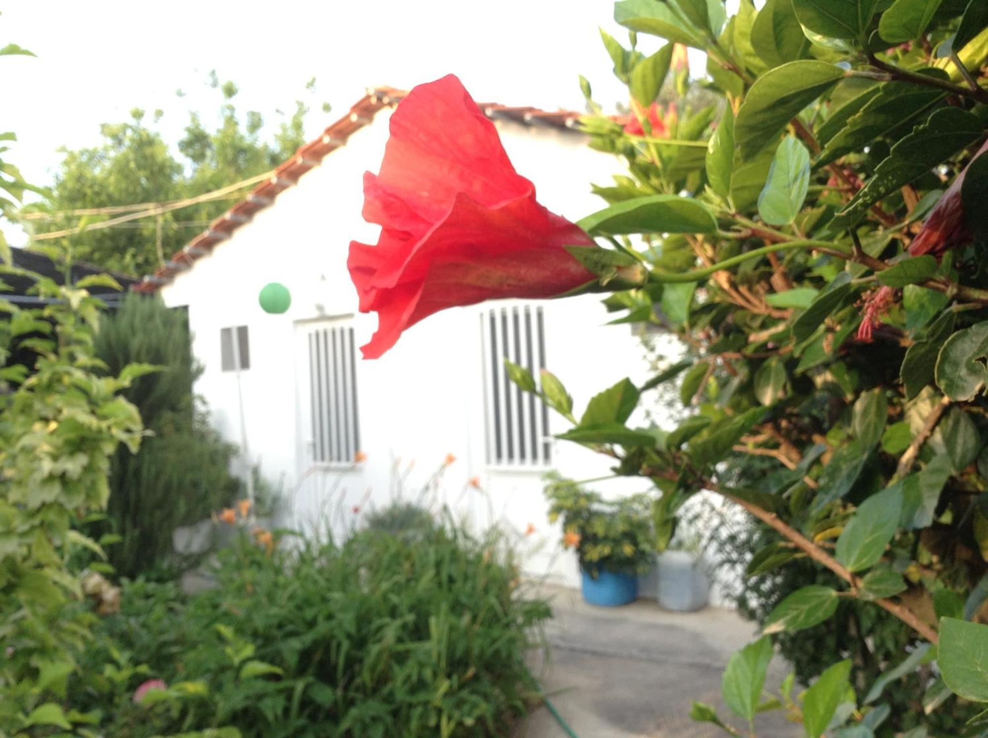 Pension Zoi Kolymbia Exterior foto